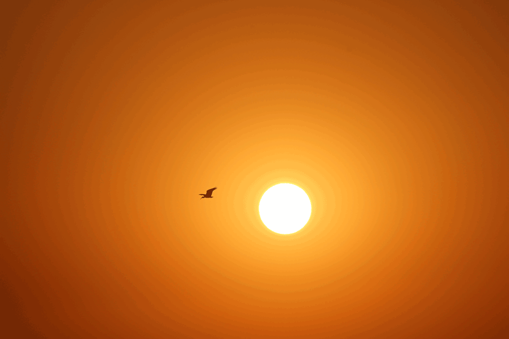 Community-Views-Climate-Module_Sun